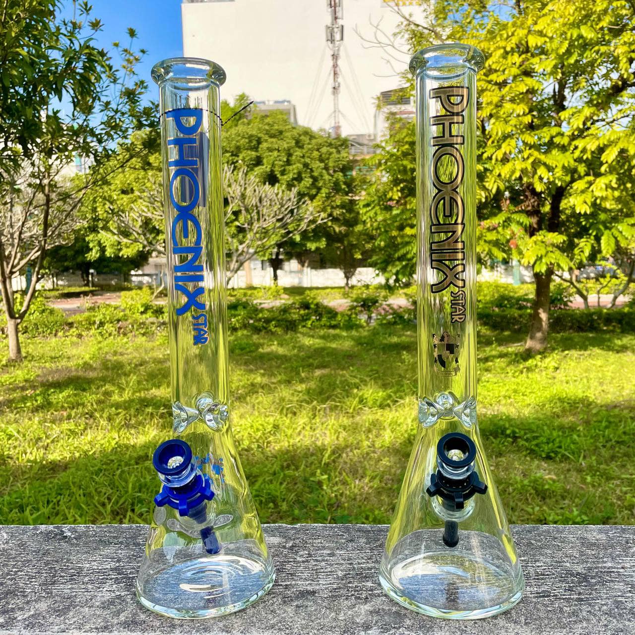 319858048_566816755458388_8841004399696620118_n