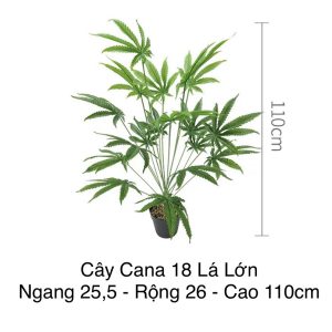 Cây Nhựa Giả CANA 110cm Decor Trang Trí