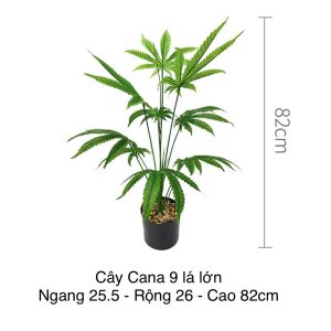 Cây Nhựa Giả CANA 82cm Decor Trang Trí
