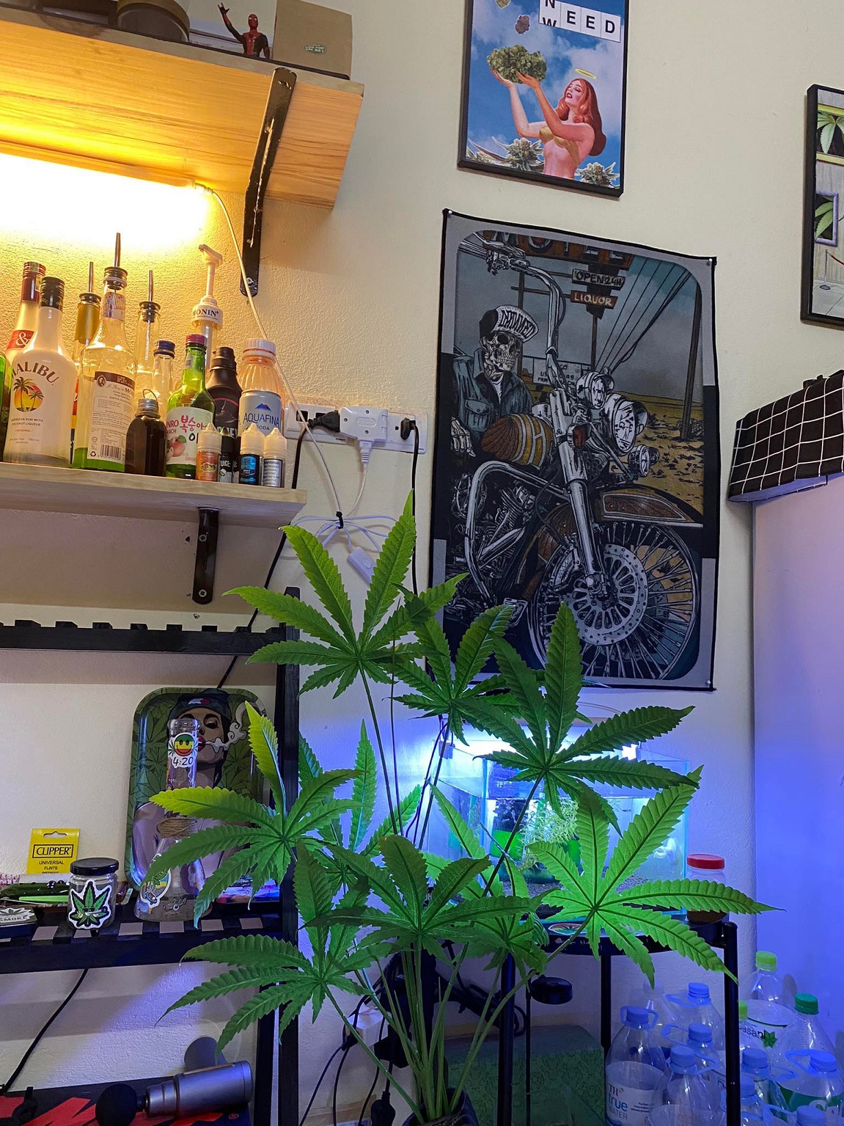 z4629561413217_0f2586aa906d029489a752f54a574b57