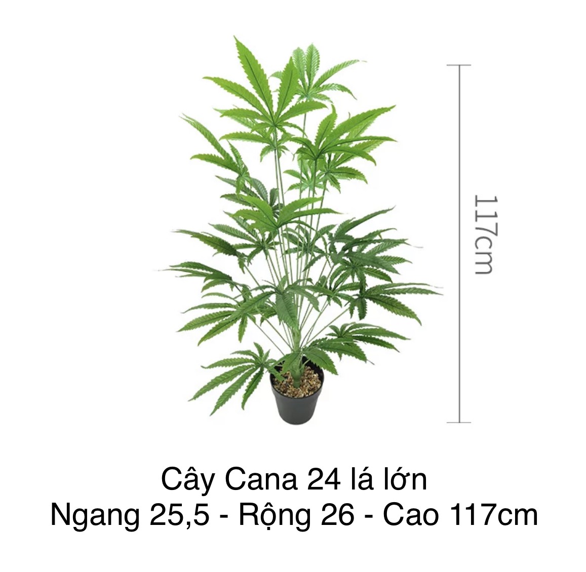 z4629657167765_e39fea34031f6dc88d4491b605e89b2b