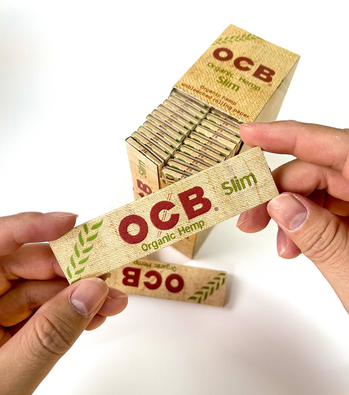 photo_2025-01-22_15-54-22